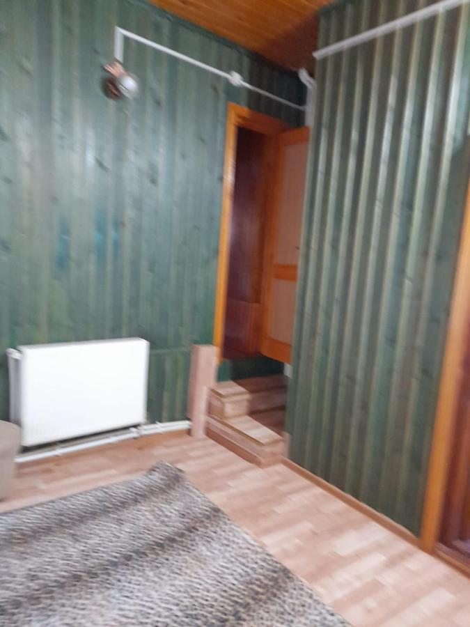 Hotel Barlogul Ursilor Lepşa Exterior foto