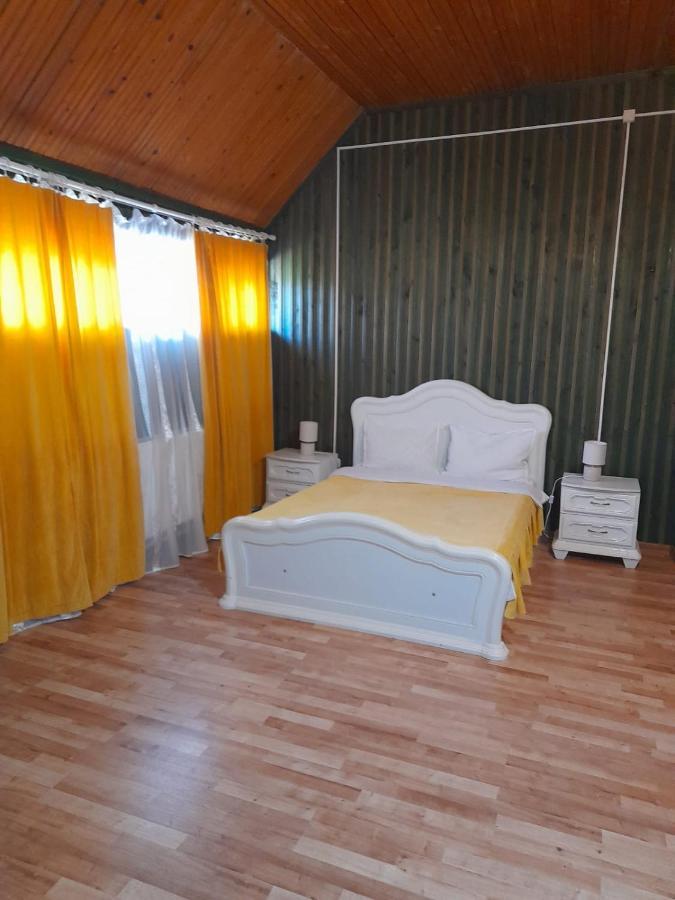 Hotel Barlogul Ursilor Lepşa Exterior foto