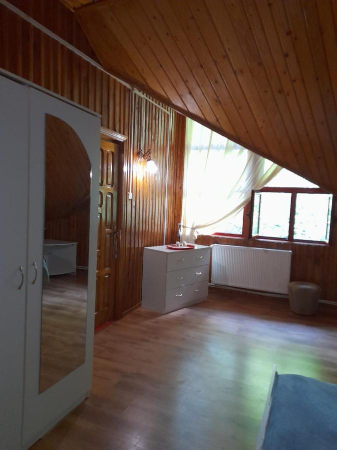 Hotel Barlogul Ursilor Lepşa Exterior foto