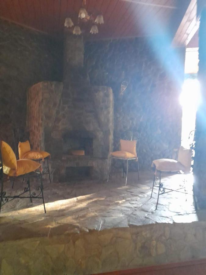 Hotel Barlogul Ursilor Lepşa Exterior foto