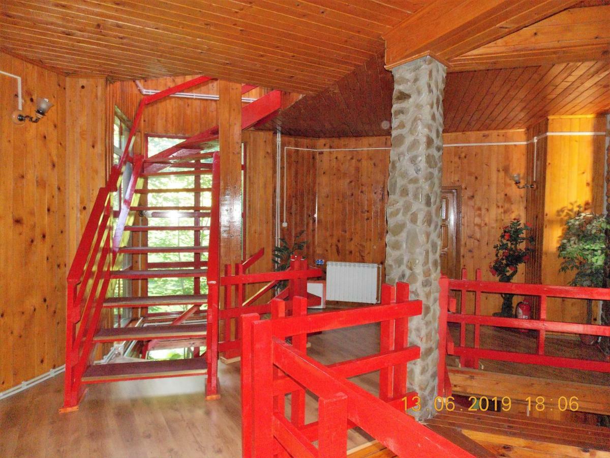 Hotel Barlogul Ursilor Lepşa Exterior foto