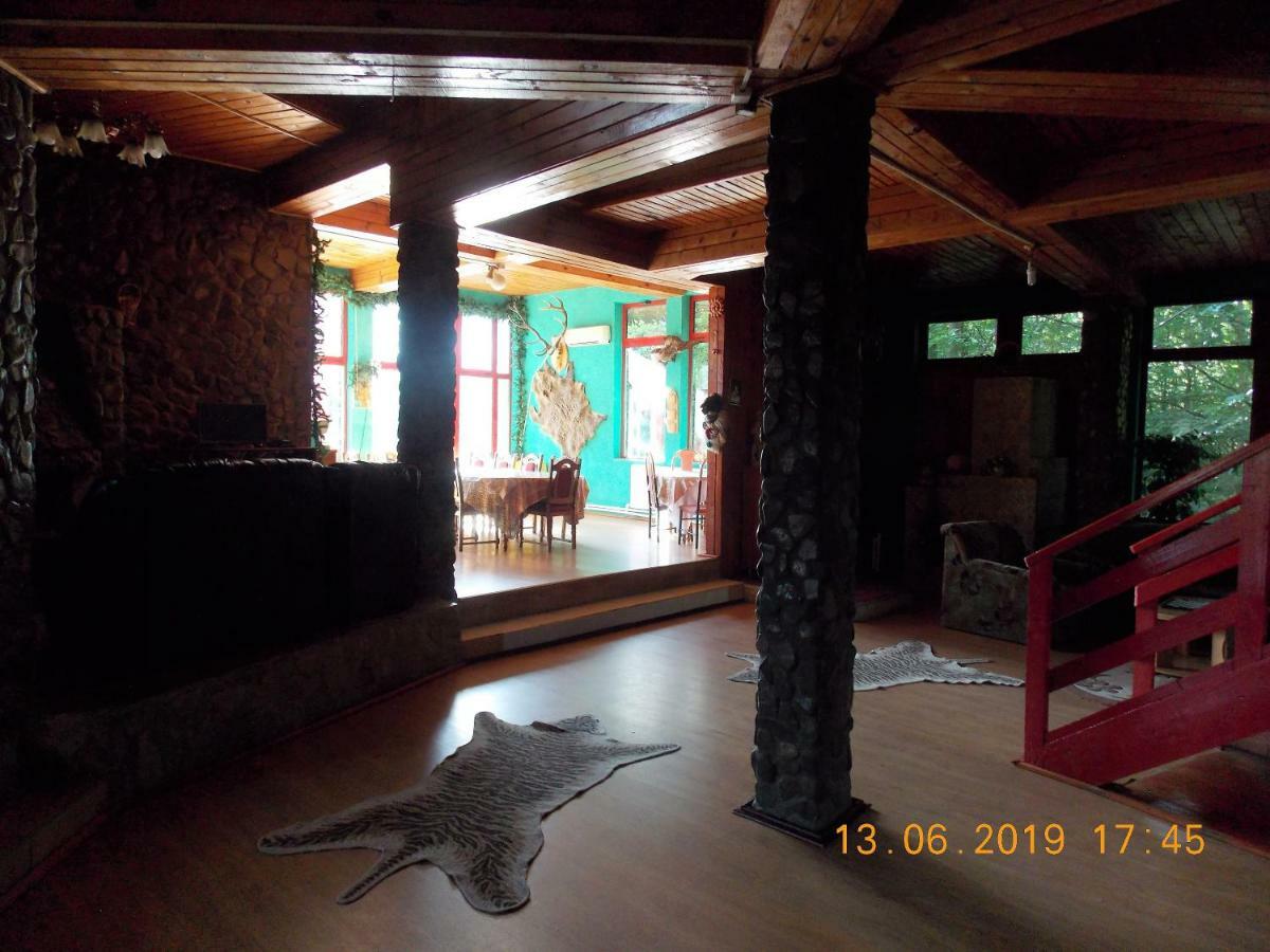 Hotel Barlogul Ursilor Lepşa Exterior foto